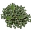 chlorella