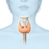 thyroide