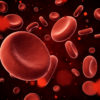 Blood particles in focus