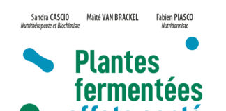 Plantes fermentées effets santé décuplés